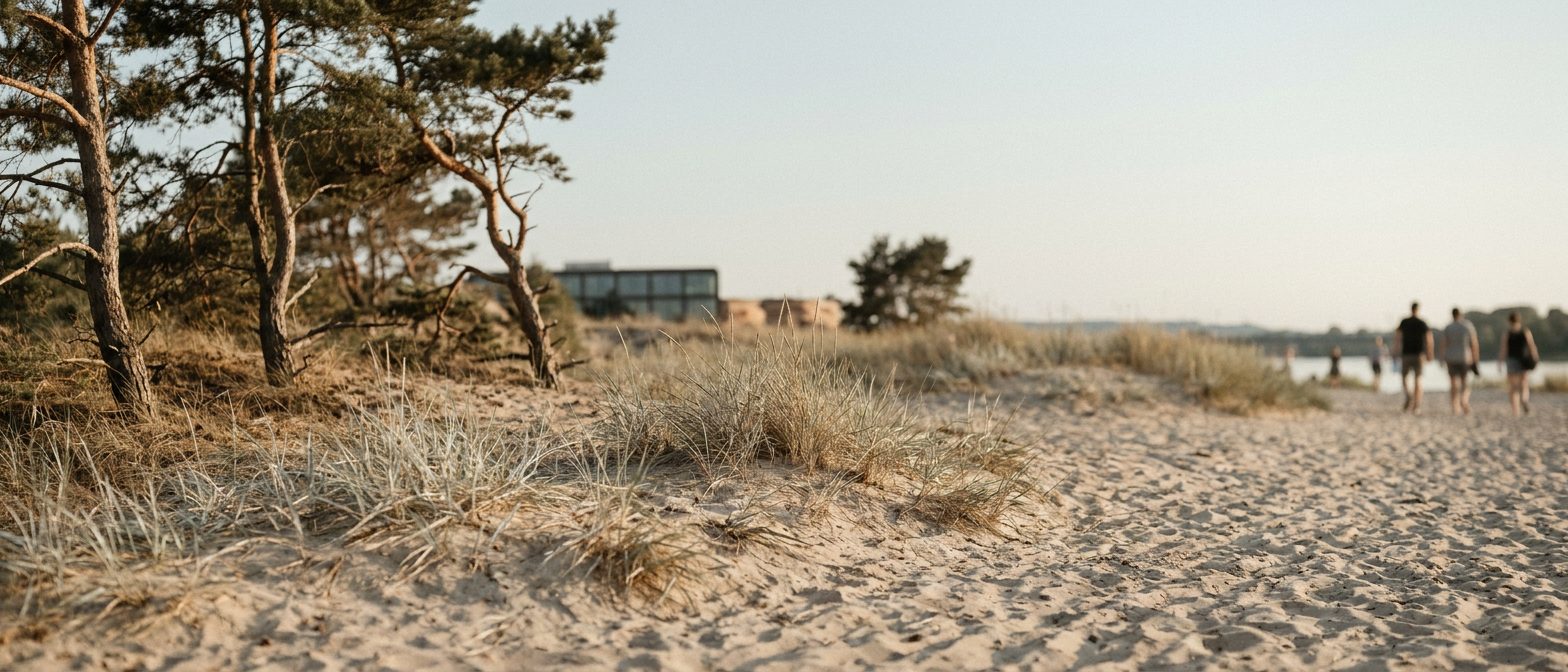 Offene Sandfläche mit spärlichem Silbergras und vereinzelten Kiefern unter grellem Sommerhimmel